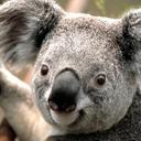 hendrix kyle ferrer - @HendrixFerrer - Twitter