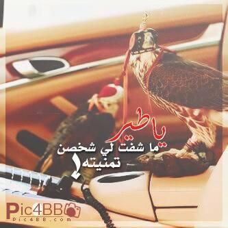 من يحبگ .. مـآ يفآرق يوم قلبگ ،،
يترگ آشغآله لجل ضحگة #شفآتگ
يبتسم لي قلـت له گلمة .. آحبگ ،،
ويتعكر جوه آذآ ضــآقت #حيآتك
