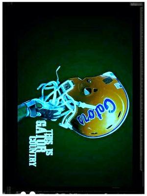 mogren60's profile picture. sports are life