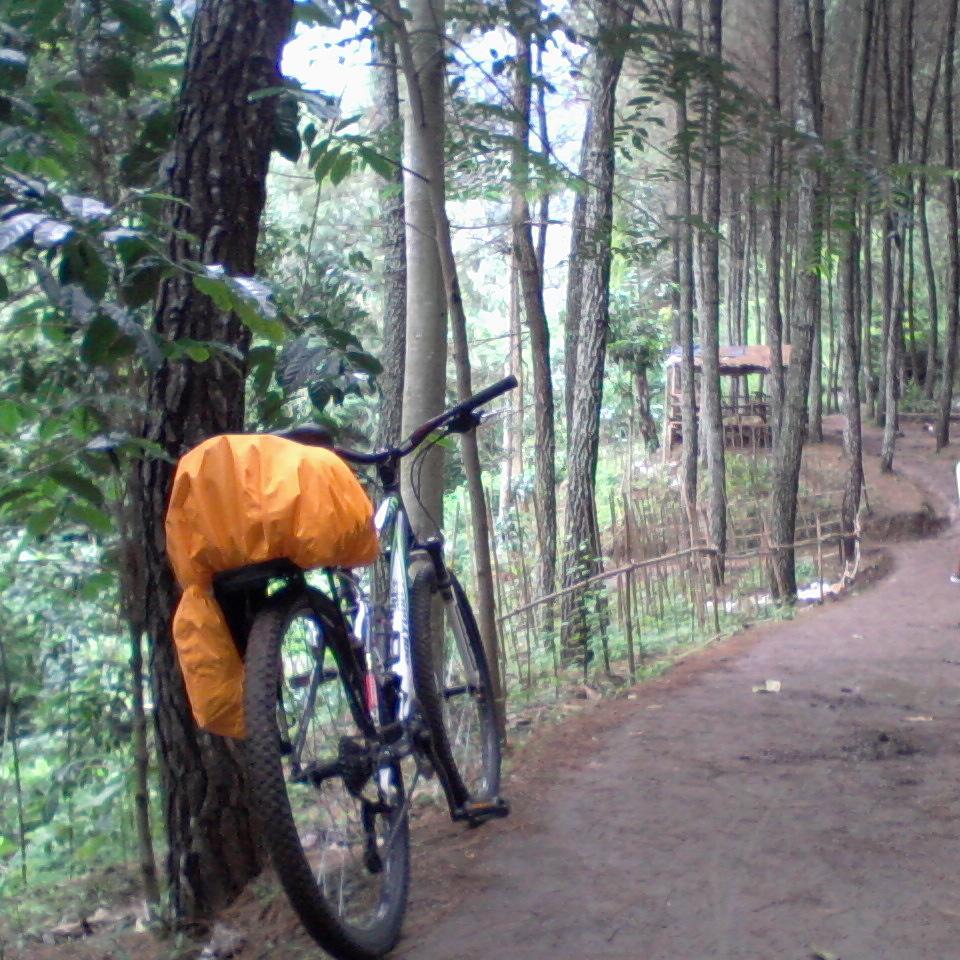 Handiva Putra.D