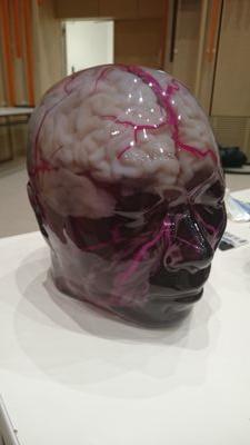 fujinet3657gma1's profile picture. 