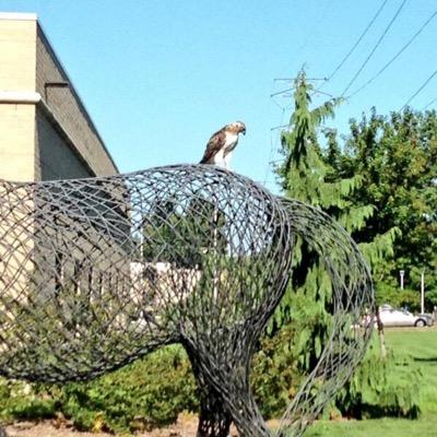 UtoledoHorses's profile picture. We are a trio. Stop touching our butts.