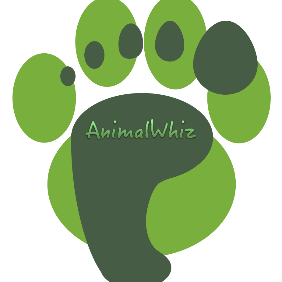 AnimalWhiz