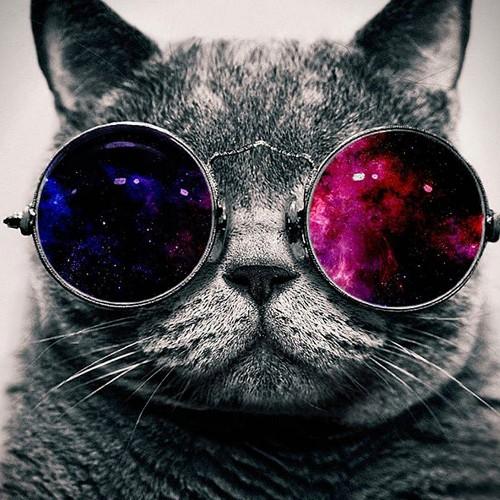 Chill all day every day