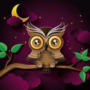 Misty - @MistyRenner - Twitter