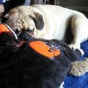 Libby Stanton - @stanton_libby - Twitter