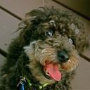 Bobbie Rutherford - @bobbie88ruth - Twitter