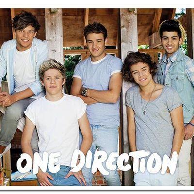 One Direction=Louis, Harry, Niall, Liam y Zayn Mis 5 razones para ser feliz