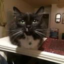 Lori  - @lori_benfield - Twitter