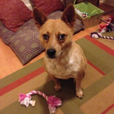 Rule80's profile picture. 