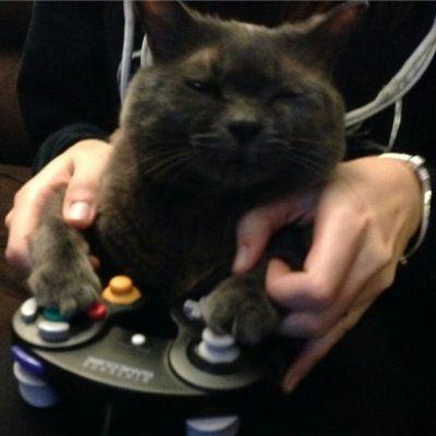 LisaBwpg's profile picture. 