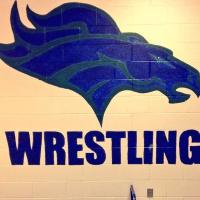 Soco Wrestling (@socowrestling) 's Twitter Profile