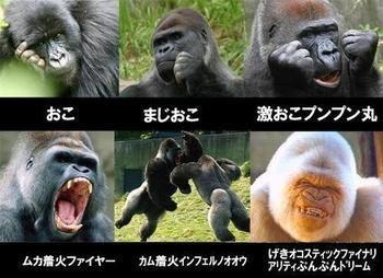 これでも受験生/ジャニーズ大スキすぎて勉強に、集中出来ません。/男装に憧れ☆!!