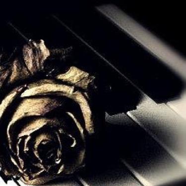 Never give up. Find a reason to smile no matter how hard it may seem.
