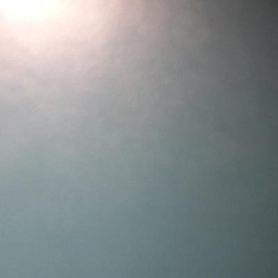 SUBJECTFEED's profile picture. VIDEO TRANSCRIPT LOG: SUBJECT 12017411. CLASSIFIED.