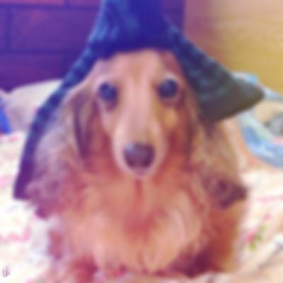 ちゃんりか Rika Twitter ちゃんりか Rika Twitter