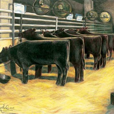 ShowDiary's profile picture. Small town Stock Show Lover. I show cattle and hogs! Follow me