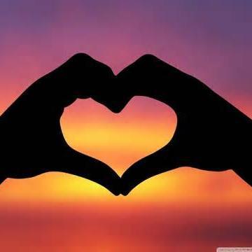 || ❤ || ❤ || ❤ || ❤ || ❤ || ❤ || ❤