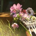 austin - @summer_austin - Twitter