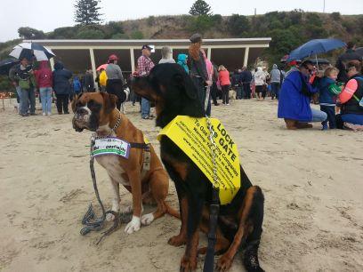 MickPitman's profile picture. protector for our environment we must protect our environment for our children