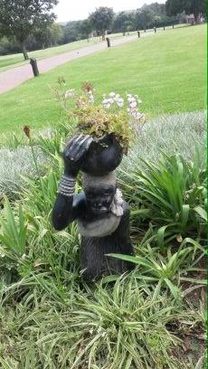 Joburgflower's profile picture. Enjoy display of flowers, gardens, food & music reflecting Jozi's talent. This is a family experience unlike any other for outdoor love, 2 -4 Oct 2015, WSBG