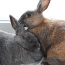 ♡Ｌｉｓａ ＆ Ｌｕｃｙ♡ - @LifeofLisa_Lucy - Twitter