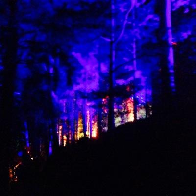 scottishtech's profile picture. 