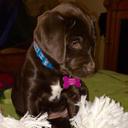 Daisy - @DaisyMchugh11 - Twitter