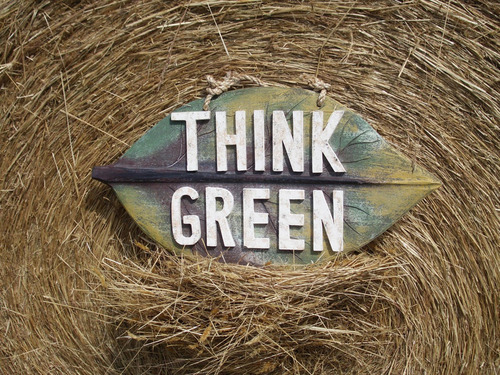 Go  Green Now your Earth Friendly Alternatives Online Boutique ! http://t.co/ztG4X8hGHz  Christine Wekking-owner