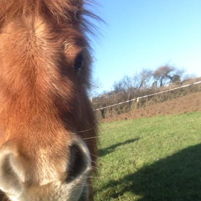 PowellKelly17's profile picture. 