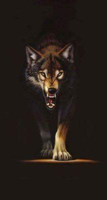 WILDOGG43SHC's profile picture. The man behind Tha music. Join #SOUTHLANDHUSTLACLICC .. By Simply Following And Keep it Real ASF. WELCOME!!! #HUSTLA #SALUTE @3rdearthent