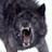 showdownhero's profile image