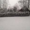 Sara Landon - @AnonymousLandon - Twitter