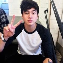 follow @lashtonspuppy
