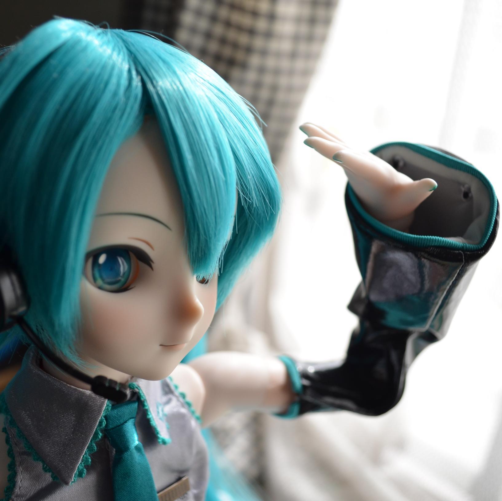 いえろりあんさんのプロフィール画像