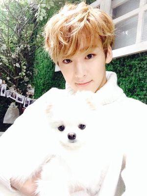 Hey yo! This roleplayer of Kevin Woo from Ukiss