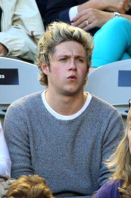 You do not know me as I know you but promise me that if you ever pass my hand keep it forever @niallofficial