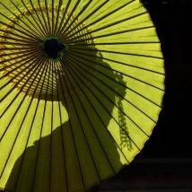 anyu0830's profile picture. セカオワ、ボカロ、ゲームが好きです。 歌い手 ウルさん、姉ちゃんさん、ろんさん、いかさん。
乖離性ma/モンスト/白猫/FPS