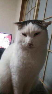 ryu022412041's profile picture. 出戻りました 乃木坂オタクです 趣味友達欲しいです よろしくお願いします