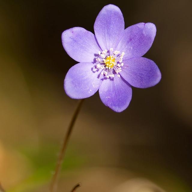 Twt_Kekata's profile picture. Walaupun aku tahu kau tidak sempurna tapi tidak akan sesekali membuat aku jauh darimu dan apa adanya dirimu akan aku tetap setia kepadamu