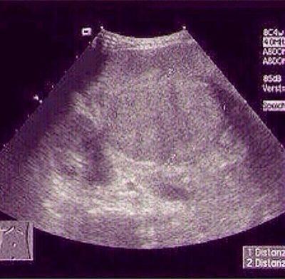 psoassexi's profile picture. no, no me gusta el cine. Es que no soy muy cinematográfica.