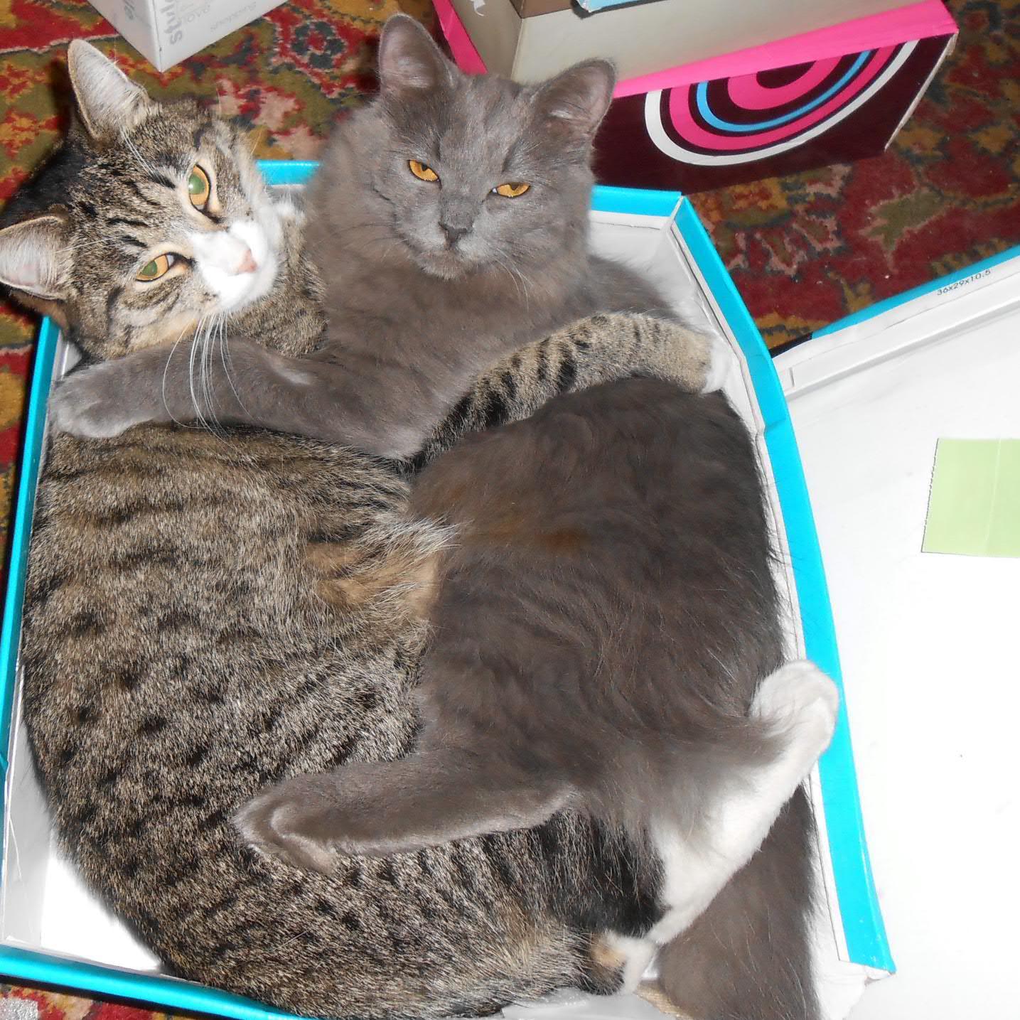 Oldpenek's profile picture. 