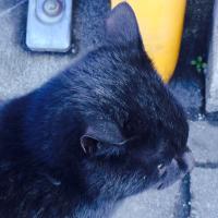 Tetsuya (@ttetsuya0222) 's Twitter Profile Photo