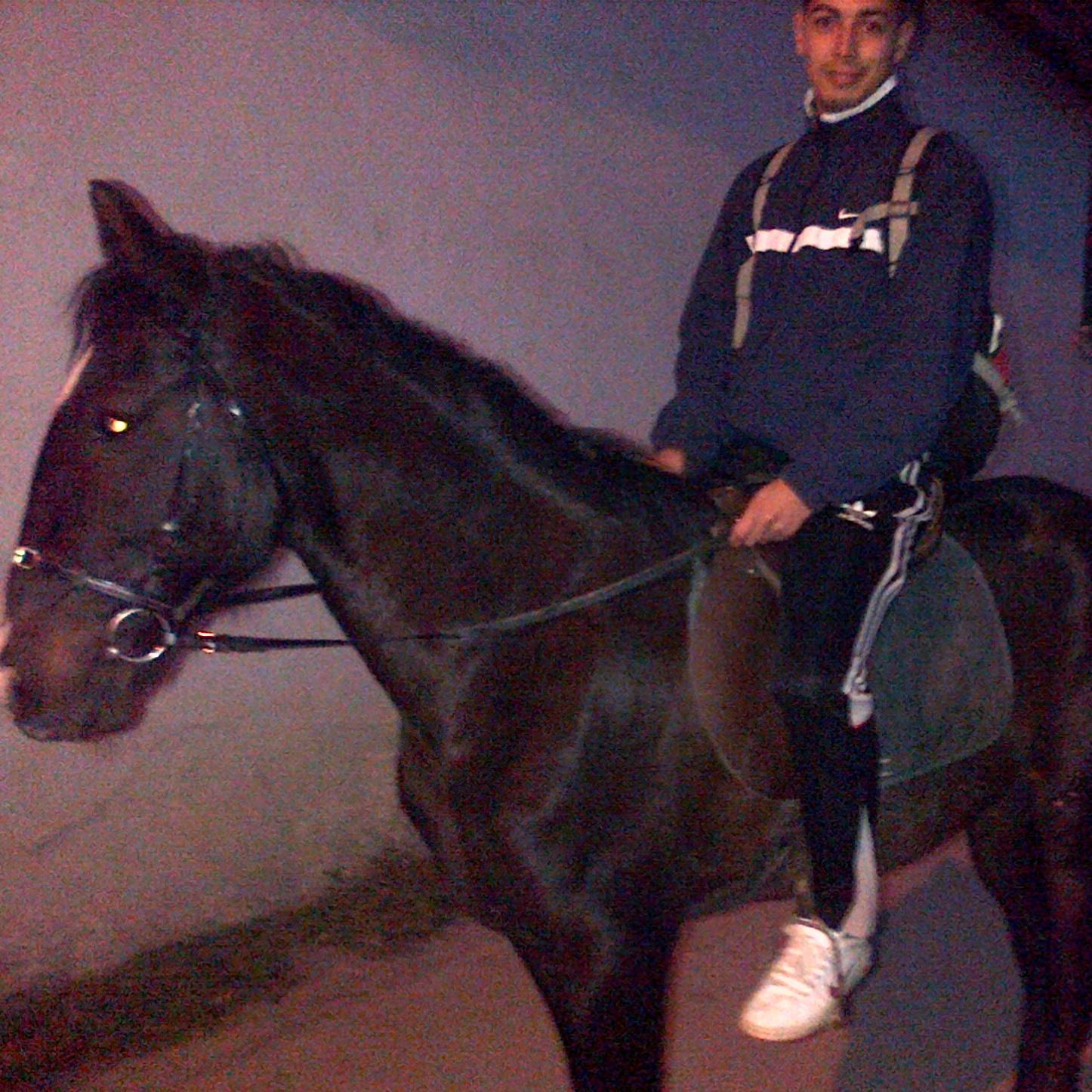 saladinearchi's profile picture. 