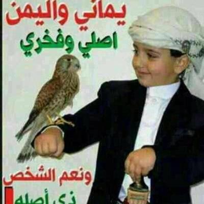 HazaaRaed's profile picture. 