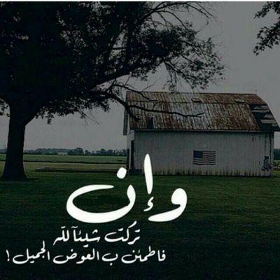 لا اله الا الله ..جامعية ..تبوك