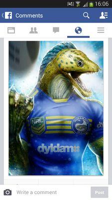 Proud Aussie and proud of our country,  just not some of the people in it. INDIGENOUS. Parramatta Eels are the best.