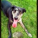 Christopher Coates - @XoticXJ - Twitter