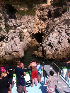 lambsala197's profile picture. Adios flor d, orgullo, todo lv que tengo es tuyo.