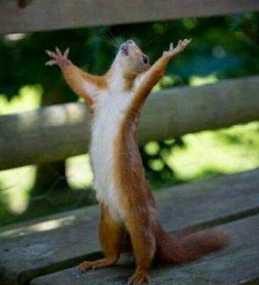 Amazin_Aces's profile picture. 